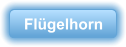 Fl�gelhorn